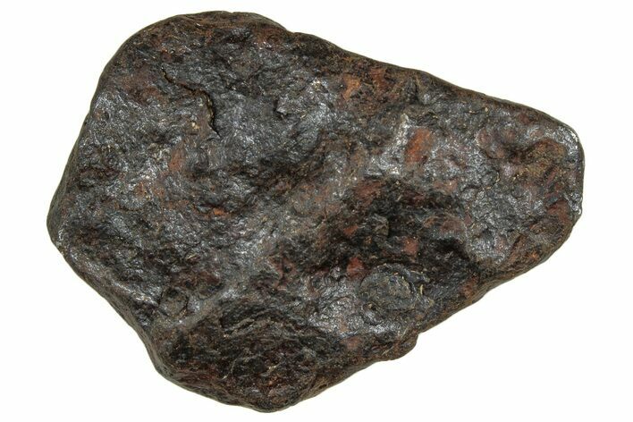 Canyon Diablo Iron Meteorite ( g) - Arizona #303492